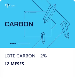 carbon-12-meses