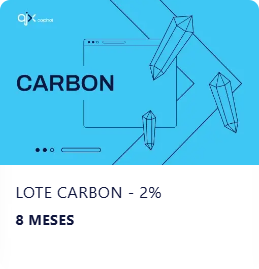 carbon-8-meses